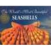 The World's Most Beautiful Seashells (Paperback, 5th) - Leonard Hill Photo