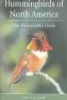 Hummingbirds of North America - The Photographic Guide (Paperback) - Steve NG Howell Photo