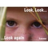 Look, Look... Look Again Summer (Paperback) - Claire Helen Warden Photo