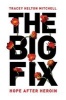 The Big Fix - Hope After Heroin (Hardcover) - Tracey Helton Mitchell Photo