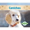 Caniches (Poodles ) (Spanish, Hardcover) - Grace Hansen Photo