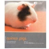 Guinea Pig - Pet Friendly - Understanding and Caring for Your Pet (Paperback) - Anne McBride Photo