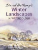 's Winter Landscapes - In Watercolour (Paperback) - David Bellamy Photo