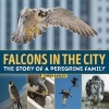 Falcons in the City - The Story of a Peregrine Family (Paperback) - Chris Earley Photo