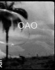 : Cao (Paperback) - Cao Guimaraes Photo