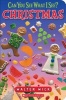 Christmas Board Book (Can You See What I See?) (Board book) - Walter Wick Photo