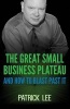 The Great Small Business Plateau (Paperback) - Patrick Lee Photo