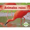 Animales Rojos (Spanish, Paperback) - Teddy Borth Photo