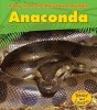 Anaconda (Paperback) - Anita Ganeri Photo