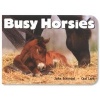 Busy Horsies (Board book) - John Schindel Photo