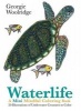 Waterlife: A Mini Mindful Coloring Book (Paperback) - Georgie Woolridge Photo