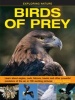 Birds of Prey (Hardcover) - Robin Kerrod Photo