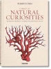 , Cabinet of Natural Curiosities (German, French, English, Hardcover, 25th) - Albertus Seba Photo