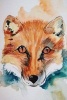 Watercolor Painting of a Fox Journal - 150 Page Lined Notebook/Diary (Paperback) - Cs Creations Photo