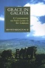 Grace in Galatia - A Commentary on St. Paul's Letter to the Galatians (Paperback) - Ben Witherington III Photo