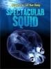 Spectacular Squid (Paperback) - Casey Rand Photo