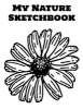 My Nature Sketchbook - Blank Unlined Journal - 8.5x11 - Doodling Journal (Paperback) - Blank Doodle Journals Photo