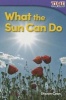 What the Sun Can Do (Foundations) (Paperback) - Sharon Coan Photo