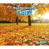 What Can You See in Fall? (Paperback) - Sian Smith Photo