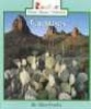 Cactuses (Paperback) - Allan Fowler Photo