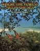 Where the Forest Meets the Sea (Hardcover) - Jeannie Baker Photo