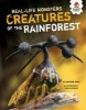 Creatures of the Rain Forest (Hardcover) - Matthew Rake Photo