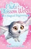 The Owls of Blossom Wood: A Magical Beginning (Paperback) - Catherine Coe Photo