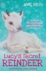 Lucy's Secret Reindeer (Paperback) - Anne Booth Photo