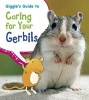 Giggle's Guide to Caring for Your Gerbils (Paperback) - Isabel Thomas Photo