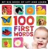 My Big Book of Lift and Learn: 100 First Words (Novelty book) - Caterpillar Books Photo