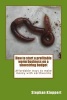 How to Start a Profitable Worm Business on a Shoestring Budget - Affordable Ways to Make Money with Earthworms (Paperback) - MR Stephan Kloppert Photo