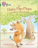 Collins Big Cat - The Hairy Flip-Flops and other Fulani Folk Tales: Band 15/Emerald (Paperback) - Stephen Davies Photo