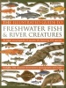 The Illustrated Guide to Freshwater Fish & River Creatures - A Visual Encyclopedia of Aquatic Life Featuring 450 Species; Includes 500 Detailed Illustrations, Photographs and Maps (Hardcover) - Daniel Gilpin Photo