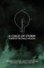 A Child of Storm - Poems by Michael J. Wilson (Paperback) - Michael J Wilson Photo