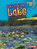 Let's Visit the Lake (Hardcover) - Buffy Silverman Photo