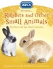 All About Rabbits and Other Small Animals (Paperback) - Anita Ganeri Photo