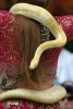 Albino Burmese Python Snake Journal - 150 Page Lined Notebook/Diary (Paperback) - Cool Image Photo