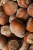 Hazelnuts Aka Filberts Journal - 150 Page Lined Notebook/Diary (Paperback) - Cool Image Photo