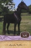 On the Victory Trail (Paperback) - Marsha Hubler Photo