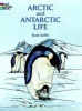 Arctic and Antarctic Life Coloring Book (Paperback) - Ruth Soffer Photo