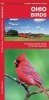 Ohio Birds (Paperback) - James Kavanagh Photo