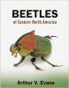 Beetles of Eastern North America (Paperback) - Arthur V Evans Photo