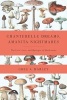 Chanterelle Dreams, Amanita Nightmares - The Love, Lore and Mystique of Mushrooms (Paperback) - Greg Marley Photo