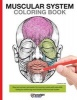 Muscular System Coloring Book - Now You Can Learn and Master the Muscular System with Ease While Having Fun (Paperback) - Pamphlet Books Photo