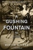 A Gushing Fountain - A Novel (Hardcover) - Martin Walser Photo