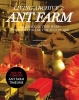 Ant Farm (Paperback) - Felicity D Scott Photo