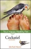 Cockatiel (Hardcover, 2nd Revised edition) - Julie Rach Mancini Photo