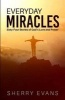 Everyday Miracles - Sixty-Four Stories of God's Love and Power (Paperback) - Sherry Evans Photo