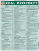 Real Property Laminate Reference Chart (Poster) - BarCharts Inc Photo