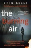 The Burning Air (Paperback) - Erin L Kelly Photo